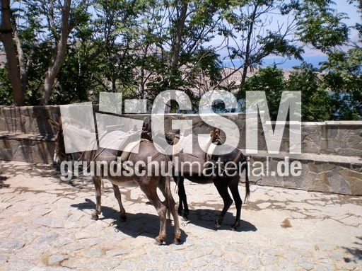 Griechenland Rhodos 001.jpg